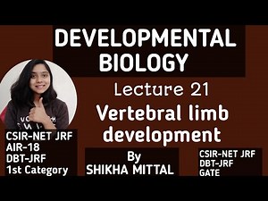 Vertebral limb Development - DEVELOPMENTAL BIOLOGY CSIR-NET JRF LIFESCIENCE