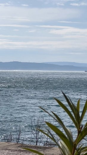 La bora da Barcola di oggi . #bora #barcola #reeloftheday #27febbraio #trieste | Comune di Trieste