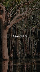 68K views · 15 reactions | YODEZEEN  BRAZIL UNVEILED Welcome...