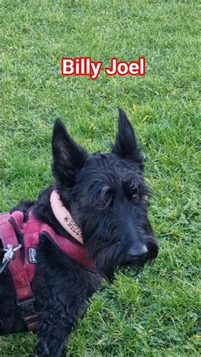 Aren't We Adorable 🤗🤗🤗