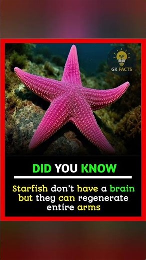shocking fact about starfish #shorts #facts #funfacts #interestingfacts