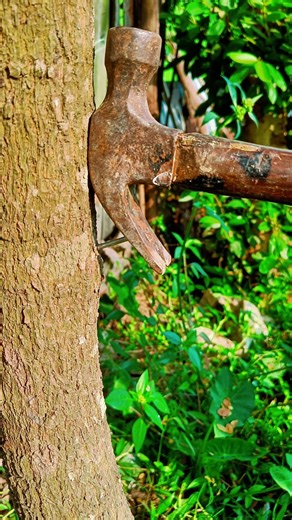 Trick to remove nails easily#shorts #tips