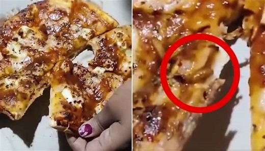 MP man finds crawling worm inside pizza; SHOCKING video sparks food safety concerns (WATCH)