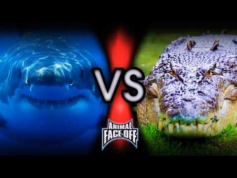 Animal Face-Off (2004) | Full Fight | Great White Shark vs Saltwater Crocodile