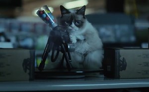 Así es la película navideña de "Grumpy Cat", la gata más famosa de la red