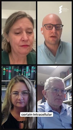 Which Tau Should Therapies Target?