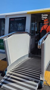 8.1K views · 210 reactions | Our cutest passengers ever 瑩‍了 The Puppies in Training at Guide Dogs WA are regularly exposed to public transport and the ferry is quite a different experience to trains and buses. The adorable little puppies get to experience a range of different surfaces, smells and movements that all help them to prepare for their future life-changing careers. | Transperth | Facebook