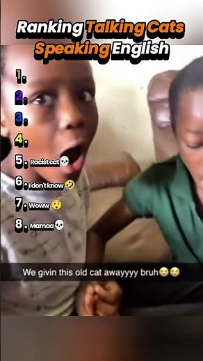 Ranking Talking Cats Speaking English #speakingcat #cattalking #catfunny