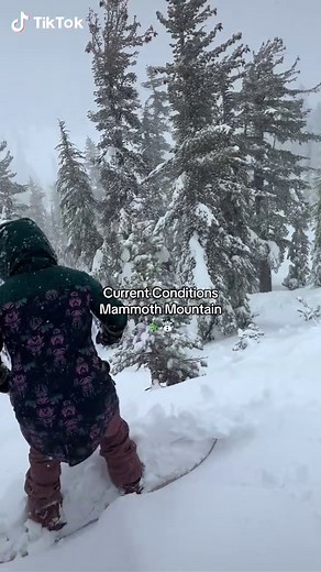 Current conditions at Mammoth Mountain. 🤗 #winter #storm #atmosphericriver