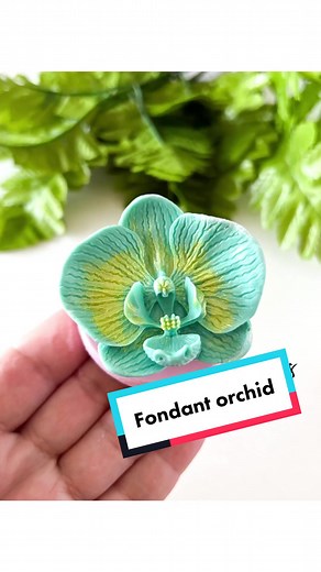 Christine’s Molds on TikTok