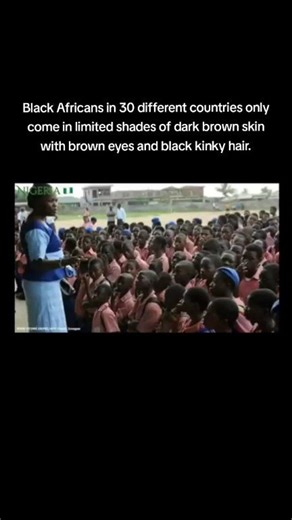 Black African people in 30 different countries only come in limited shades of dark brown skin with brown eyes and black kinky hair, and on average they usually have full lips and round noses like the people in this video. (1) Kenya 🇰🇪 (2) South Sudan (3) Tanzania 🇹🇿 (4) Uganda 🇺🇬 (5) Namibia 🇳🇦 (6) Malawi 🇲🇼 (7) Mozambique 🇲🇿 (8) Zambia 🇿🇲 (9) Zimbabwe 🇿🇼 (10) Angola 🇦🇴 (11) Burundi 🇧🇮 (12) Cameroon 🇨🇲 (13) Central African Republic (14) Chad 🇹🇩 (15) Congo 🇨🇩 (16) Benin 