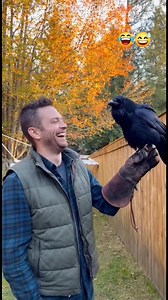 Raven saying he is hungry someone give him like And share | Reven