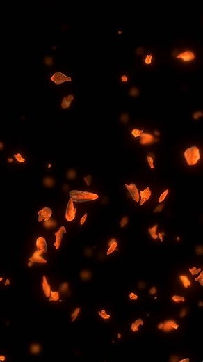 Sparks, Hot, Particle. Free Stock Video