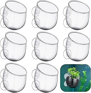 Dandat 8 Pcs Aquarium Plant Holder Pot Clear Glass Aquatic Plant Cup with Suction Cups Aquarium Fish Tank Pots for Aquaponic Cultivation Water Feature Decoration
