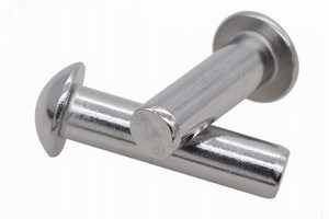 [Hot Item] High Quality Steel Round Head Rivets DIN124