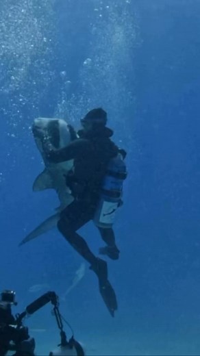 2.4K views · 26 reactions | Working hard to get the shot  Jake's...