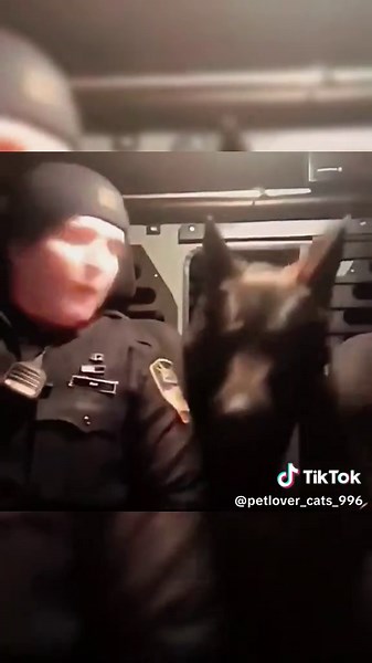 Interesting moments of police dogs 🐶 #dog #funny #funnydog #fyp #😂😂😂 #🤣🤣🤣