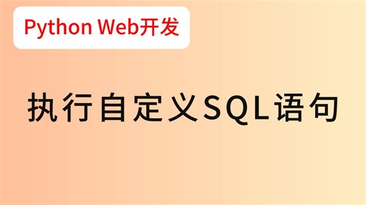 027.执行自定义SQL语句