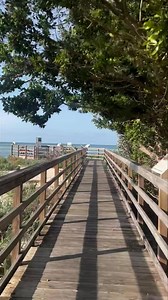 6.7K views · 208 reactions | THE KEY WEST NATURE PRESERVE….. #KEYWESTCHARTERBOAT #KEYWESTPARTYBOAT #KEYWESTSAILBOAT | FishMonster Key West | Facebook