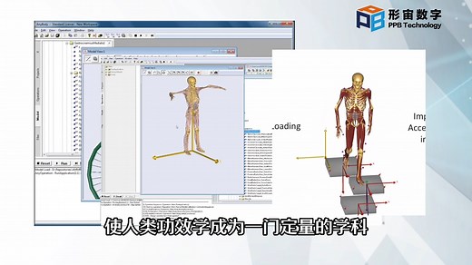 【形宙数字】AnyBody人体建模仿真软件-虚拟仿真-人机工效分析软件-人体工效学分析-生物力学