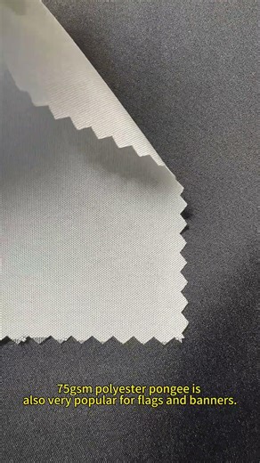 75gsm Polyester Pongee Sublimation Fabric | One-Side Print, Two-Side Clear Image