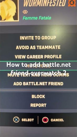 How to add battle.net friend overwatch 2