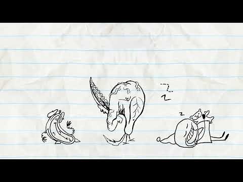 A Farewell to Alarms - Pencilmation | Animation | Cartoons | Pencilmation