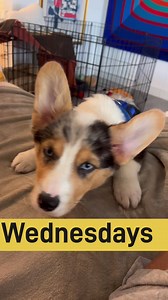 3.3K views · 236 reactions | Almost Friday… we can do it. | Allyson Rae | Facebook