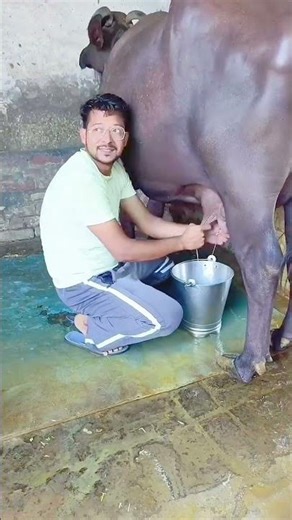 Transform Your Home with These Cool Tools! 🔧 #shorts #gadgets" 116.