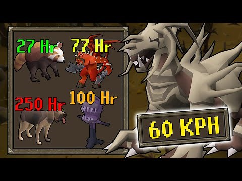 The Underground World of Oldschool Runescape Pet Hunters! [OSRS]