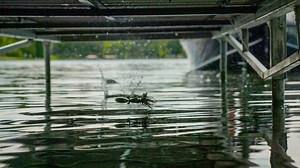 Skipping Boat Docks with Jigs | Top Tackle and What it Looks Like