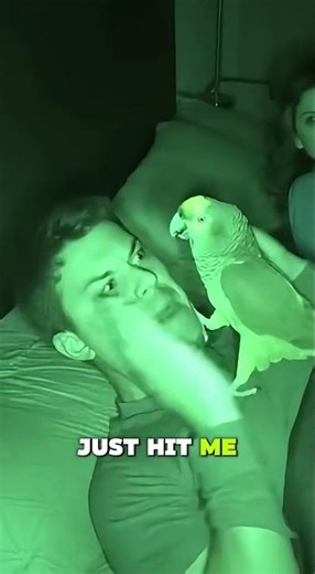 Parrot SLAPS Man for Snoring Too Loud… Night Vision Caught EVERYTHING 😭🦜💚