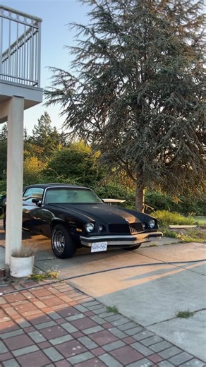 1976 Chevrolet Camaro: A Classic Muscle Car Overview