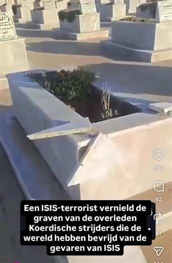 خنازير انتو كلب😡 #ypg #ypj #rojavabakurbaşurrojhilat #hasake