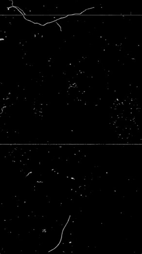 Discover the Secret Website for Meeting Strangers Online. . . . . . . . . #UsefulWebsite #ConnectWithStrangers #SafeOnlineCommunication #VideoCalls #OnlineMessaging #NoSignUpRequired #DiscoverNewPeople #StayConnected #SafeInternet #VirtualConnections #ExploreNewFriends | Digital world