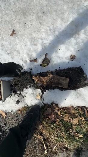 Rapid Shield on Reels