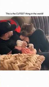 Dogs Meeting New Babies Is Extremely Heartwarming 🐶👶💖🥹🐾🍼👨‍👩‍👧‍👦✨