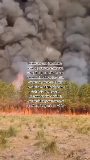 Understanding Wildfires: Causes and Impact