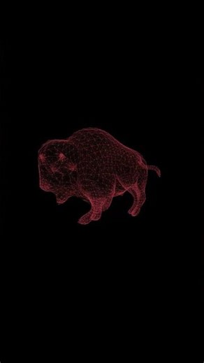 UltraHD Wireframe Bison Animation – 360° Rotating Buffalo | (Free to Use) #animation #3danimation