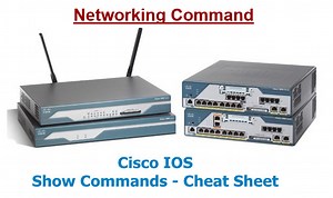 Basic Router & Switch IOS commands