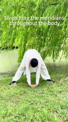 Stretching the meridians throughout the body #Fitness #Exercise #Health