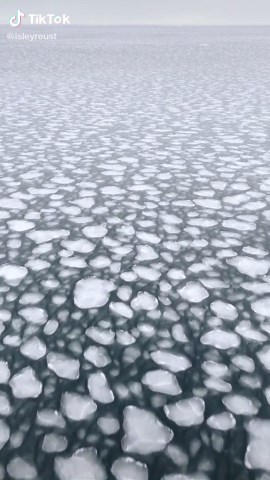 Isley Reust on TikTok