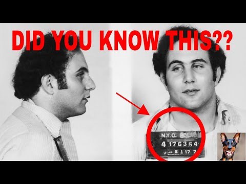 - NEW - David Berkowitz AKA The Son Of Sam Documentary New Information Released 2023 #status
