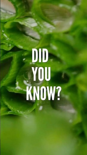Did you know that green onions have these health benefits??