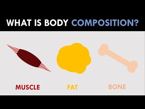 What is Body Composition? | Nutrition for Body Composition