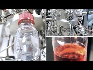 Sartorius BIOSTAT® D DCU [EN]