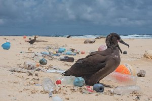 More than 170 trillion plastic particles found in the ocean as pollution reaches 'unprecedented' levels