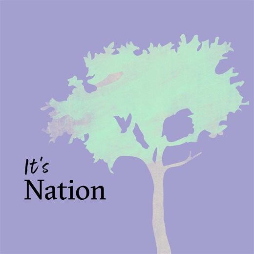NATIONAL TREE DAY! 🌳🌲🌴 For #NationalTreeDay at Bush Heritage, Richard McLellan take us to Bon Bon Reserve, Antakirinja Matu-Yankunytjatjara Country, outback South Australia, for an Australian Sandalwood survey. He writes of the tree's plight after more than a century of extensive poaching: "The species is threatened by unsustainable legal harvesting (which sadly is still occurring in Western Australia), illegal harvesting, loss of seed dispersers like Burrowing Bettongs, grazing (by kangaroos