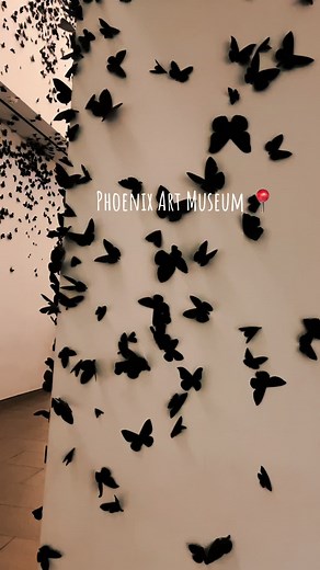 Phoenix Art Museum 🖼️📸 #az #museum | phoenix art museum