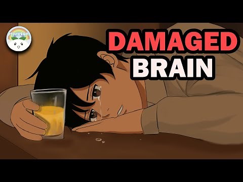 Know An Alcoholic? Alcohol Science on the Brain